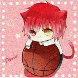 读者旧巷子的猫头像